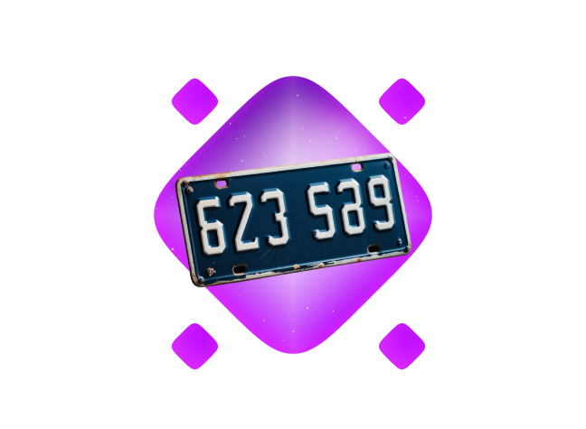 customowa-rejestracja icon