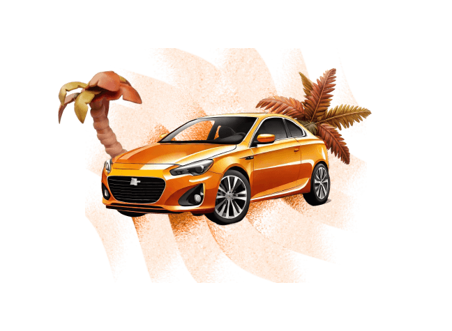 limitowany-pojazd-eksport icon